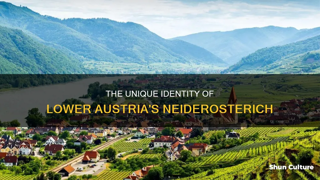 why is neiderosterich lower austria