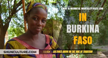 Understanding Burkina Faso's Surprisingly Low Neonatal Mortality Rate