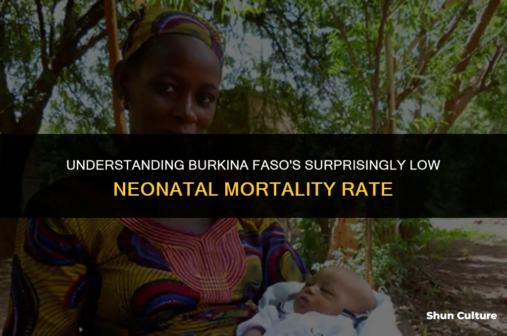 why is neonatal mortality rate low in burkina faso