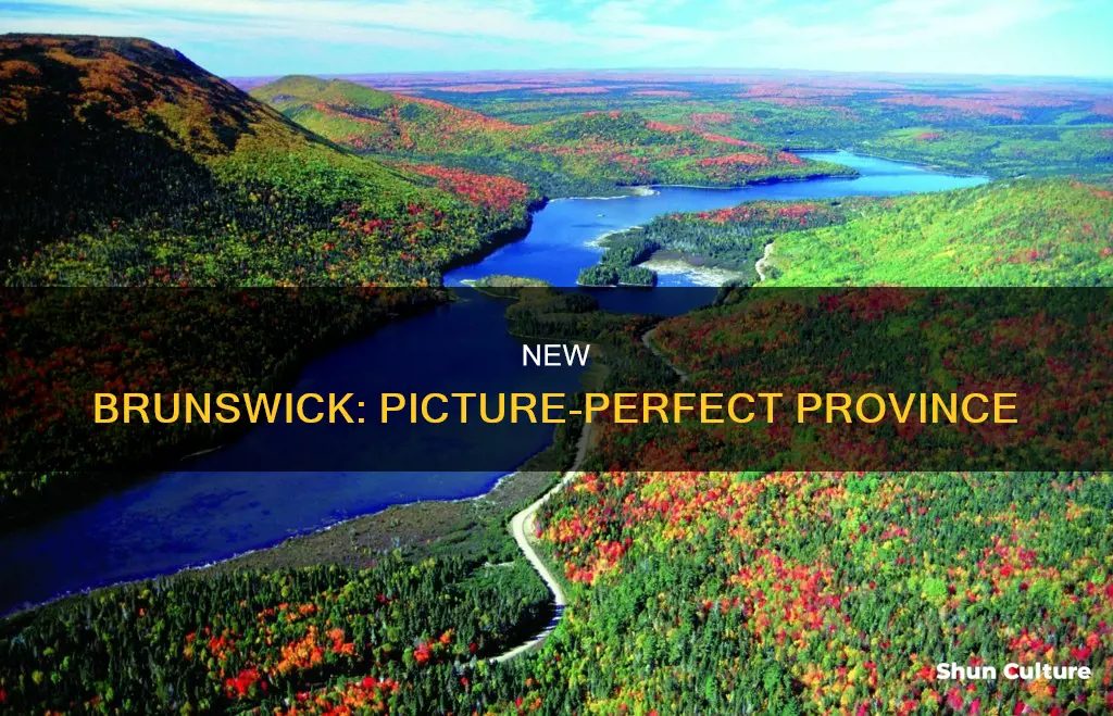why is new brunswick called the picture province