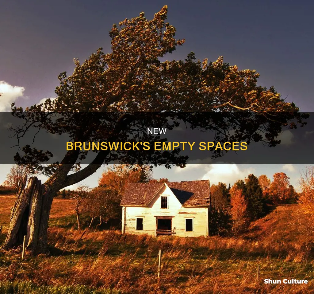 why is new brunswick empty