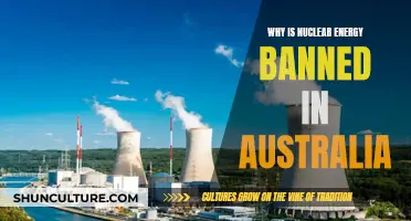 Australia's Nuclear Energy Ban: Reasons and Implications