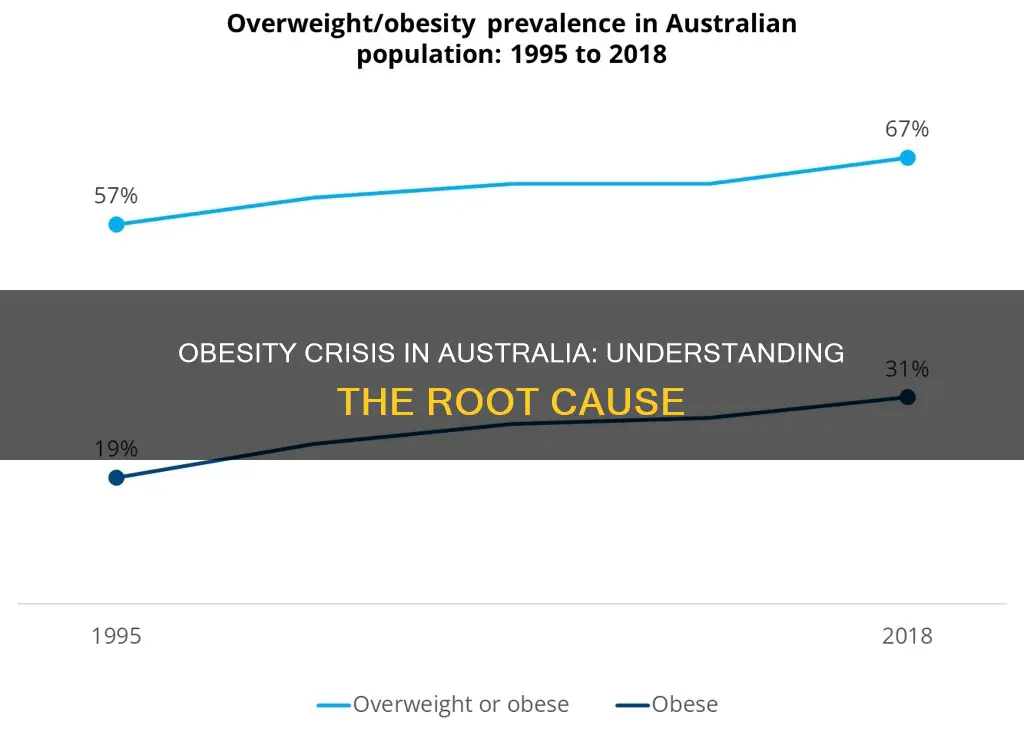 why is obesity such a big problem in australia