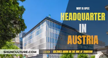 OPEC's Austrian Headquarters: Why Vienna?