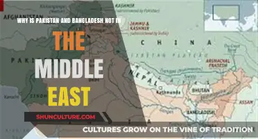 Pakistan and Bangladesh: South Asian Identities Beyond Middle Eastern Borders