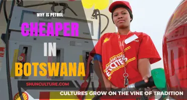 Botswana's Petrol Prices: Uncovering the Reasons Behind the Lower Costs