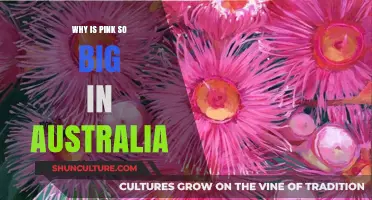 Pink's Australian Appeal: Why the Color Thrives Down Under