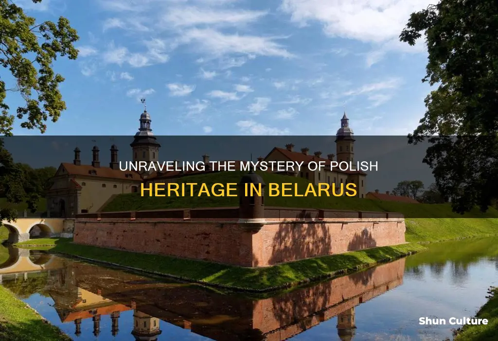 why is polish heritage showing up as belarus