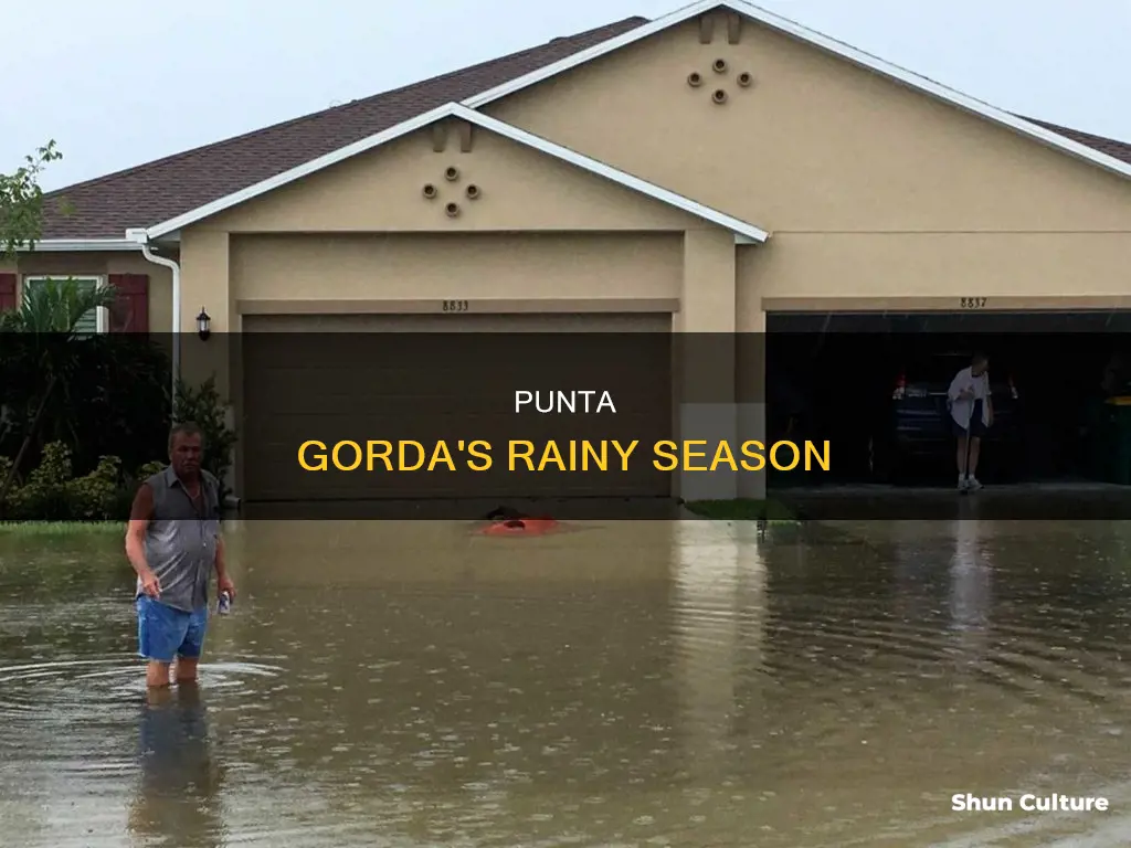 why is rain so common in punta gorda belize