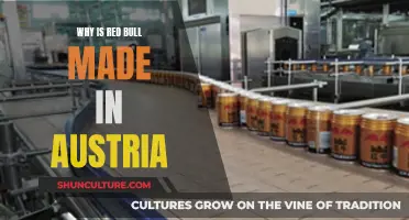 Austrian Energy: Why Red Bull Calls Austria Home