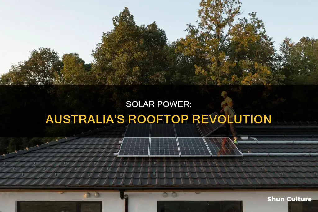 why is roftop solar so popular in australia