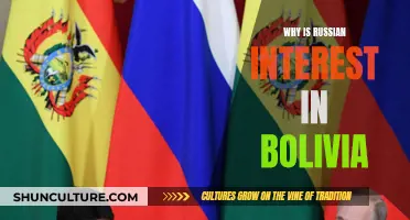 Russia's Bolivian Interest: Geopolitical Ambitions in South America