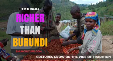 Economic Disparities in the Heart of Africa: Rwanda vs. Burundi