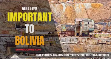 Silver's Significance in Bolivia: A Historical and Economic Perspective