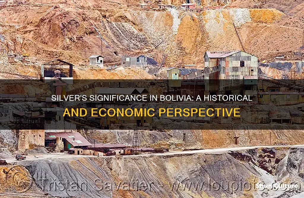 why is silver important to bolivia