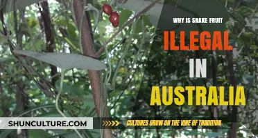 Snake Fruit: Australia's Forbidden Delicacy