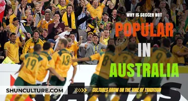 Soccer's Struggle: Australia's Alternative Attractions
