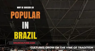 Brazil's Soccer Passion: Culture, History, and National Identity Explained