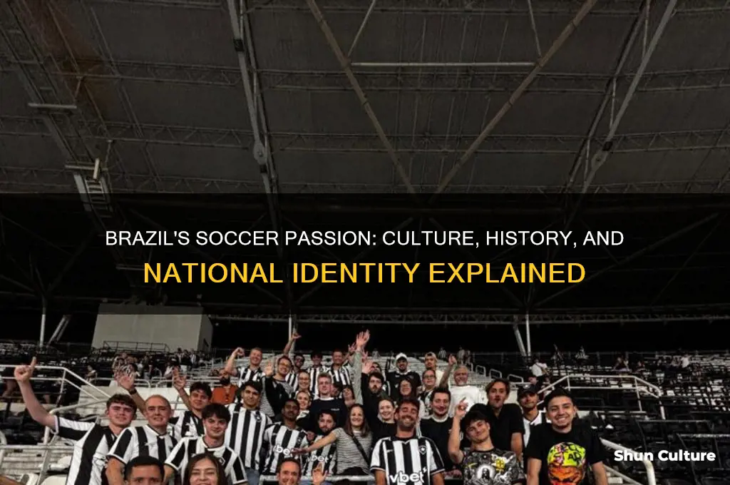 why is soccer so popular in brazil