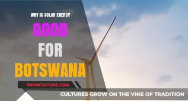 Solar Power: Botswana's Path to Sustainable Energy and Economic Growth