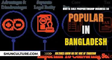 Sole Proprietorship in Bangladesh: Reasons Behind Its Widespread Popularity