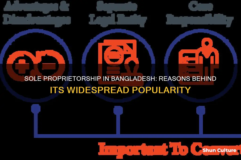 why is sole proprietorship business so popular in bangladesh