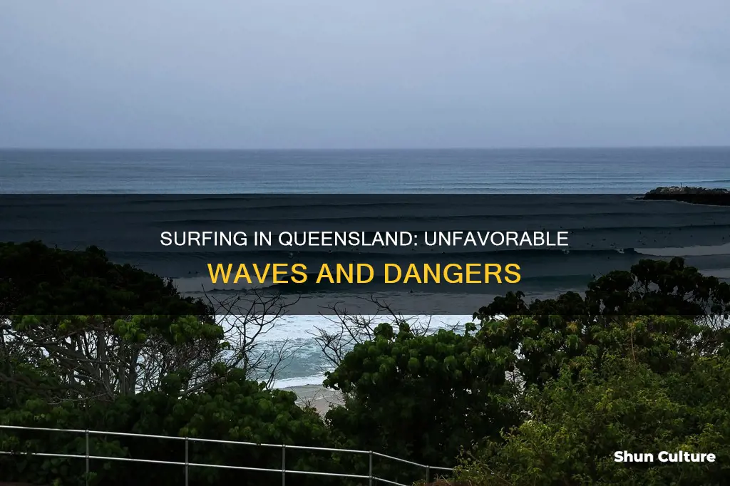why is surfing not good in queensland australia