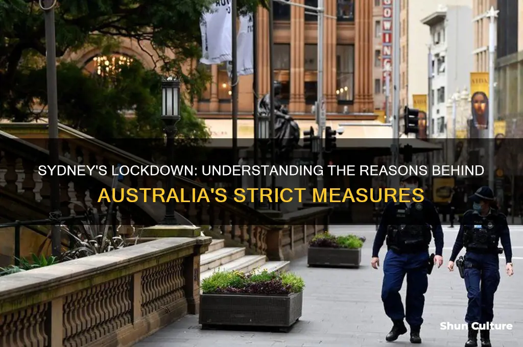why is sydney australia going into lockdown