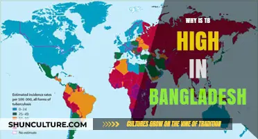 Understanding Bangladesh's High TB Rates: Causes and Challenges