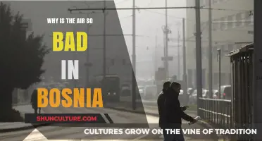 Breathing Trouble: Uncovering Bosnia's Air Pollution Crisis and Causes