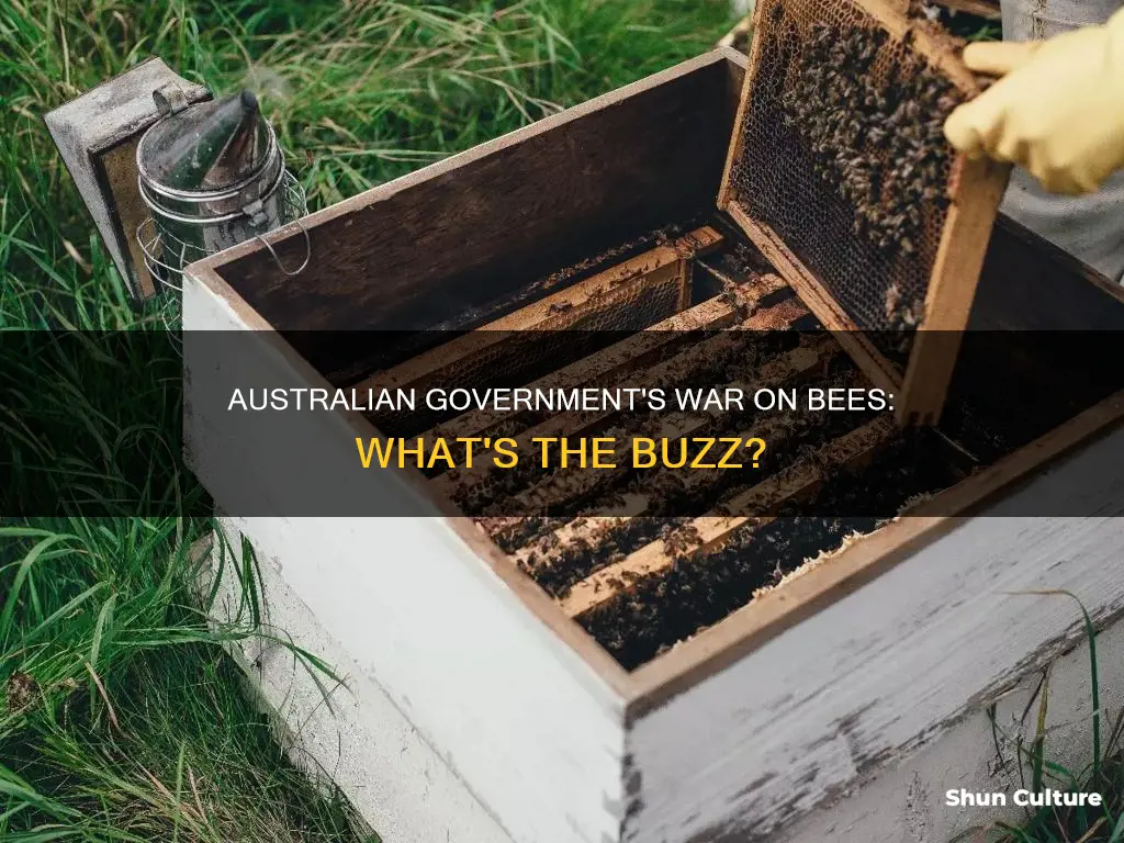 why is the australian government killing bees