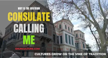 The Austrian Consulate: Why They're Calling and What to Do