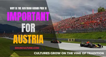 Austrian Grand Prix: A Race That Defines Austria