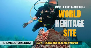 Belize Reef: Heritage Wonder