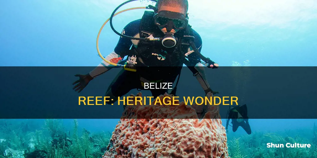 why is the belize barrier reef a world heritage site