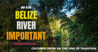 Belize River: Vital Lifeline and Ecosystem