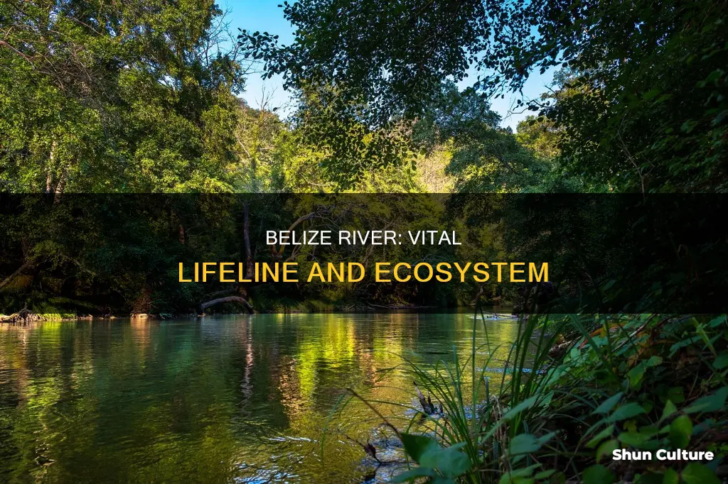 why is the belize river important