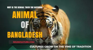 The Bengal Tiger: Bangladesh's Iconic National Animal and Its Significance