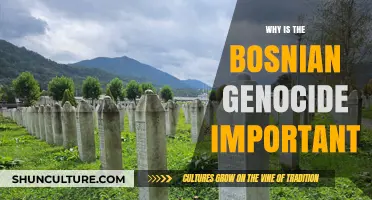 The Bosnian Genocide: A Historical Turning Point and Its Lasting Impact