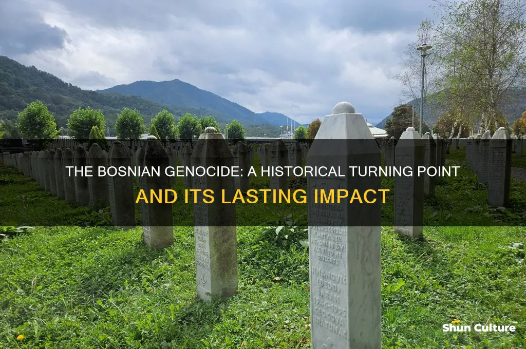 why is the bosnian genocide important