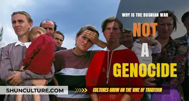 The Bosnian War: Debunking Genocide Claims and Historical Context