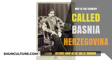 The Origins of Bosnia and Herzegovina's Unique Name Explained