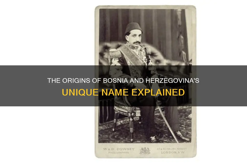 why is the country called basnia herzegovina