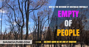 Australia's Interior: Empty Vastness Explained