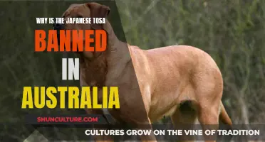 Tosa Ban: Australia's Strict Stance on Japanese Breed