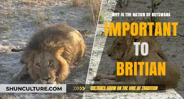 Botswana's Strategic Importance to Britain: A Historical and Economic Overview