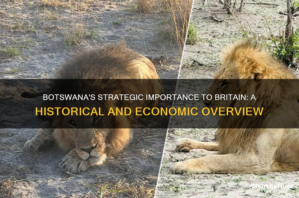 why is the nation of botswana important to britian