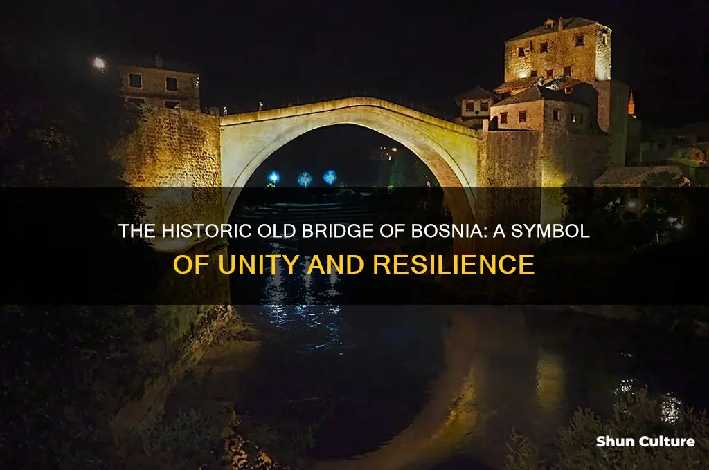 why is the old bridge in bosnia famous
