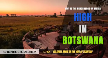 Botswana's Baby Boom: Exploring High Infant Population Rates