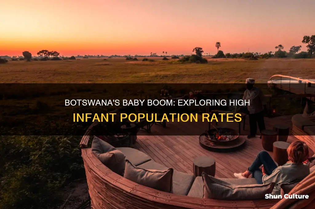 why is the percentage of babies high in botswana